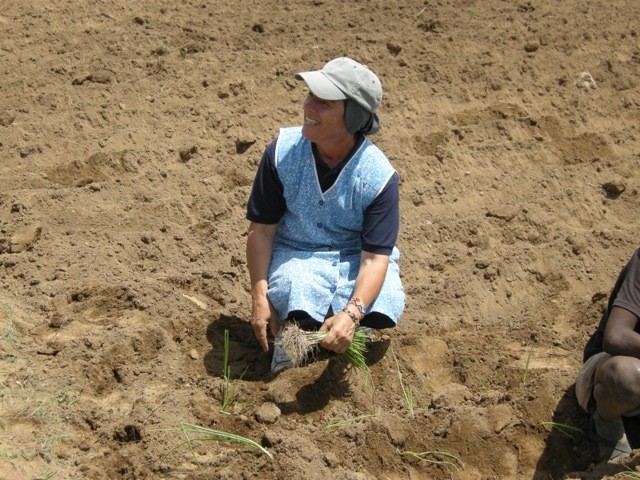 semina delle cipolle (13) copia-1.jpeg